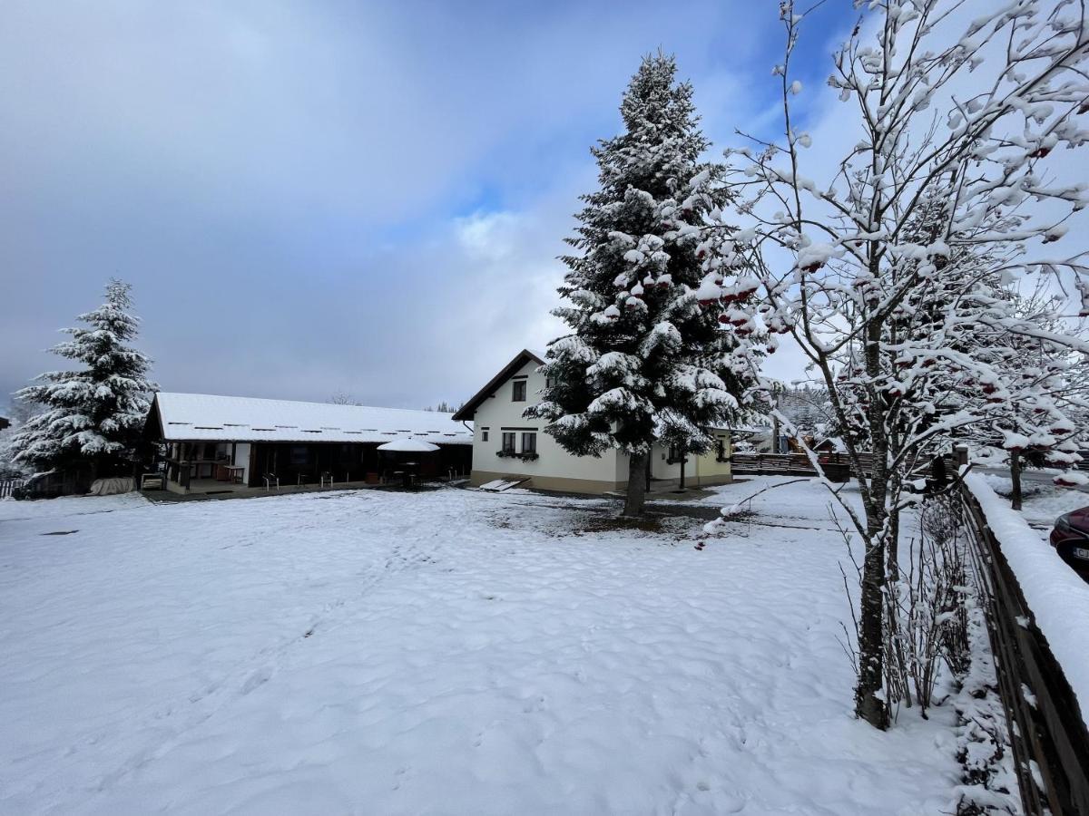 Pensiunea Vis Alpin Beliş Extérieur photo