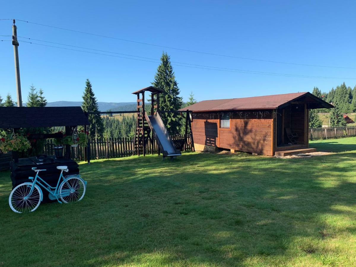 Pensiunea Vis Alpin Beliş Extérieur photo