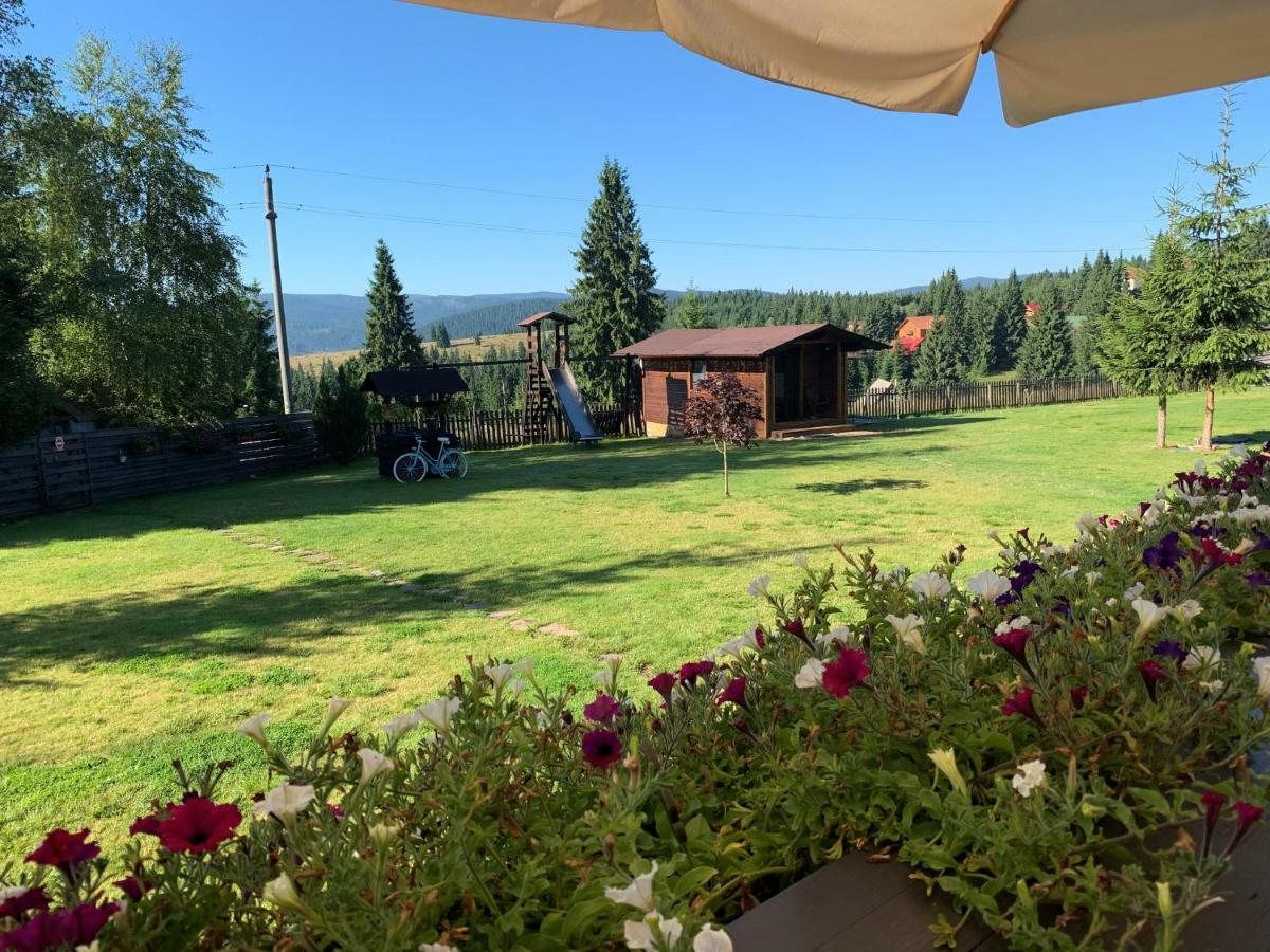 Pensiunea Vis Alpin Beliş Extérieur photo